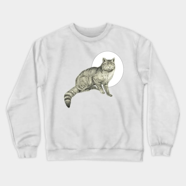 Brindle gray cat Crewneck Sweatshirt by Marccelus